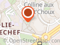 Herrmann Brigitte