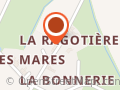 Elagage O'Bouleau