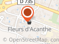 Fleurs D'acanthe