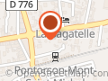 Les Camélias