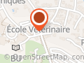 Nuit Véto Nantes