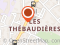PROTECVIE TELEASSISTANCE (TELEALARME)