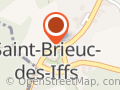 Fleurs de lin