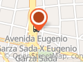 Benavides Elizondo Daniel Eduardo