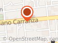 Dra Maria Del Pilar Goldaracena Azuara