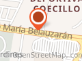 P. C. Centro Del Saber Coecillo