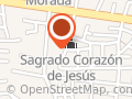 Ingeniería de Servicio Profesional