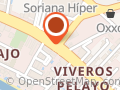 Autopartes y Servicios Guerrero