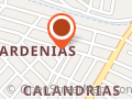 Velasquez Celis A Margarita Dra