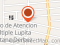 TRASNPORTES NACIONALES MEXICANOS