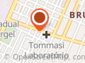 Nilce Cerimonial