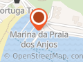 Tubarão Rio Passeio de Barco