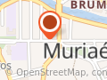 Prefeitura Municipal de Muriaé