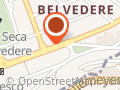 Mônica Ferreira Pinto Cardoso - Belvedere