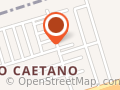 Senhor da pizza delivery