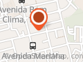 Dog Bom Clima