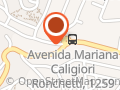 Pet Shop Paineiras