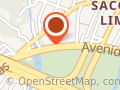 Flor Cabeleireira Unissex - Saco Dos Limões