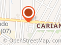 Cíntia Rent A Car Ltda - Carianos
