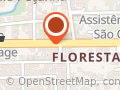 Nilton Schiewe - Floresta