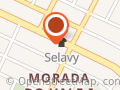 Selavy