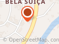 Lenise Evangelista  Shizen Estética Avançada  Londrina