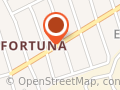 Disk Ceva Fortuna Jma