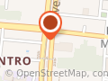 Nara Liane Torres Netto