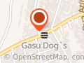 cachorro do guisu