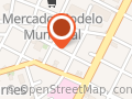 Força Sindical São Paulo