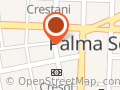 Rádio Palmeira FM
