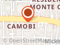 Chaveiro Camobi