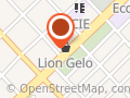 LION GELO & FESTAS