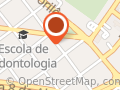 Samambaia Acessórios Masculinos