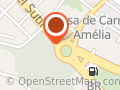 Arbusto Madeiras Nobres