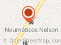 Neumáticos Nelson