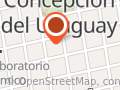 Revoltosos Juegos