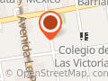 El mundo del Patin