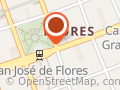 Kinder Kids Flores