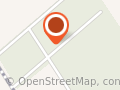 Ovejas como Mascotas