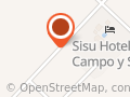 Sisu