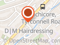 Branch Hair Studio