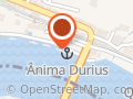 Anima Durius – Passeios de barco pelo Rio Douro