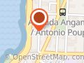 Centro Vidya