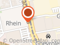Rhein Chile S a