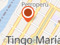 Trans. Tur. Tingo Maria T. S.A.