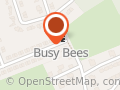 BUSY BEES