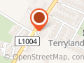 Creaven Assumpta Galway Homeopathy Clinic