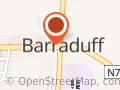 Barraduff Community Field Organisation Company Limited By Guarantee