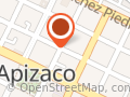 Sushi Nippon Apizaco